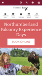 Mobile Screenshot of falconrydays.com